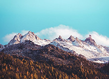 中国女足备战亚洲杯探营 王霜：积极进取 充满动力